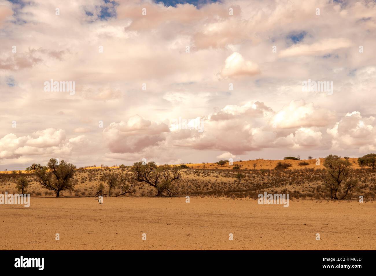Kgalagadi Landschaft mit Wolkenbildung Stockfoto