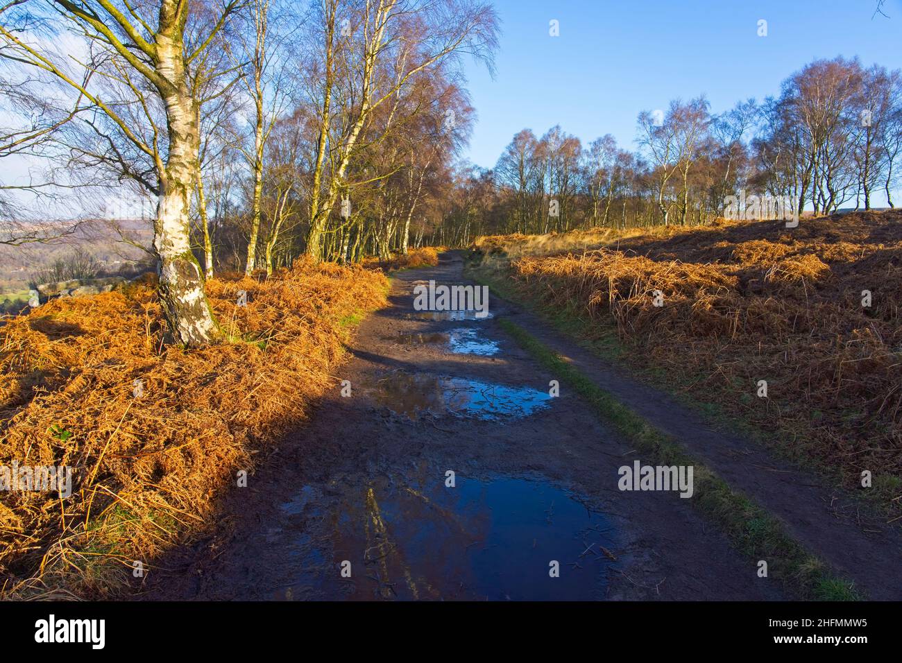 Ein breiter, schlammiger Pfad mit verstreuten Wasserpfützen überquert die Hänge des Froggat Edge in Derbyshire Stockfoto