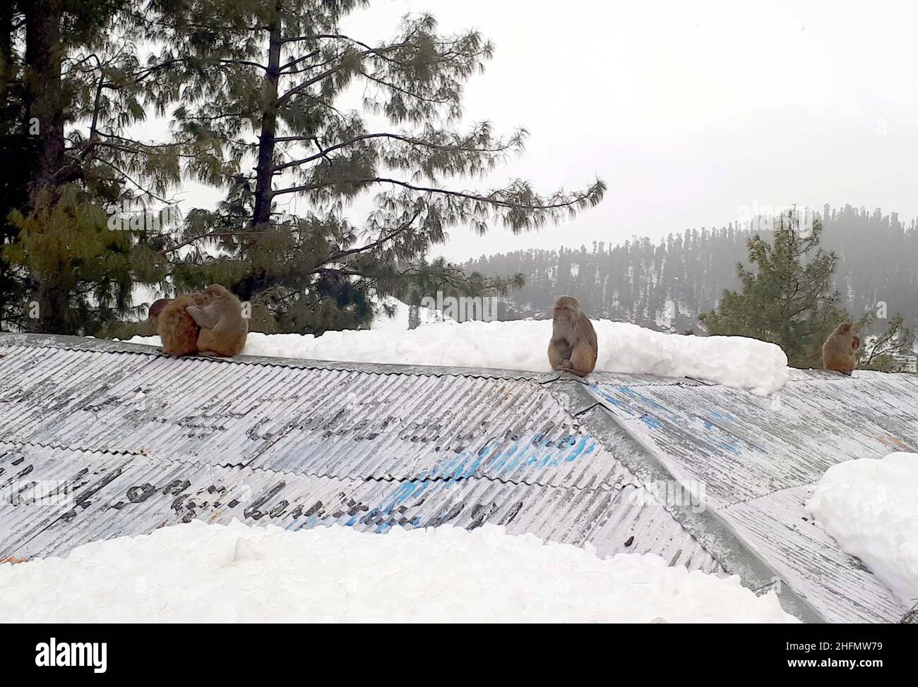 Area in abbottabad -Fotos und -Bildmaterial in hoher Auflösung – Alamy