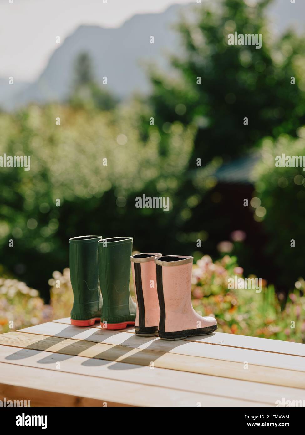 Sein und ihr Garten wellington Stiefel Austrocknen in der frühen Sommersonne auf Gartentisch - rosa grüne Gummistiefel Paar Ruhestand Lebensstil Stockfoto