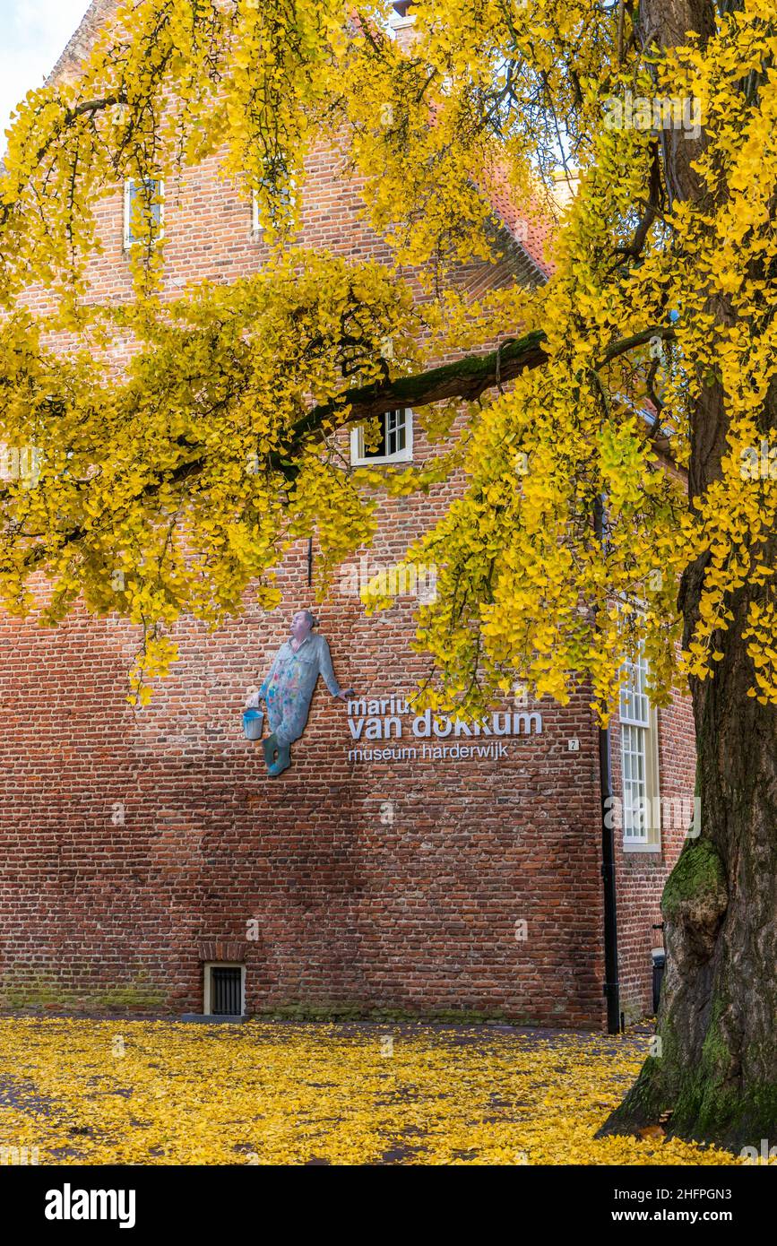 Harderwijk , Niederlande - 13. November 2021: Marinus van Dokkum Museum im mittelalterlichen Zentrum von Hardewijk, Gelderland in den Niederlanden Stockfoto
