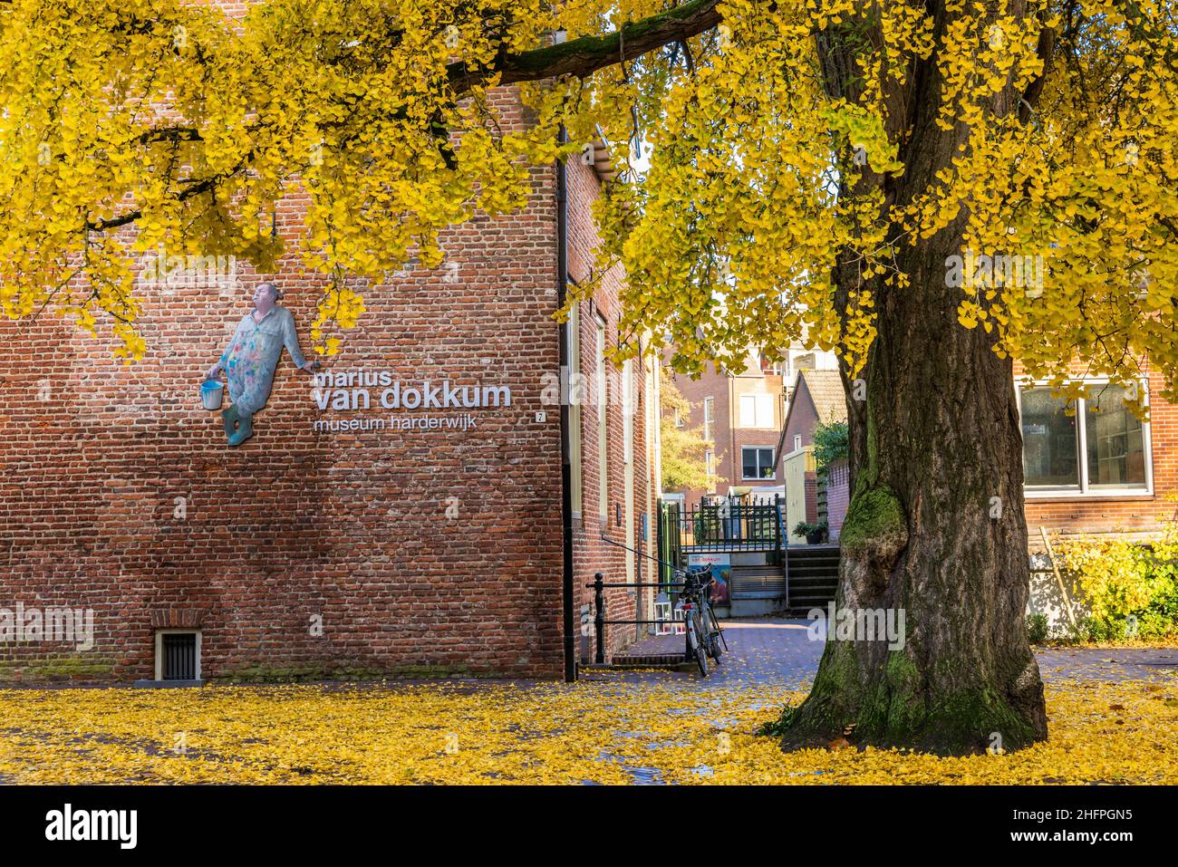 Harderwijk , Niederlande - 13. November 2021: Marinus van Dokkum Museum im mittelalterlichen Zentrum von Hardewijk, Gelderland in den Niederlanden Stockfoto