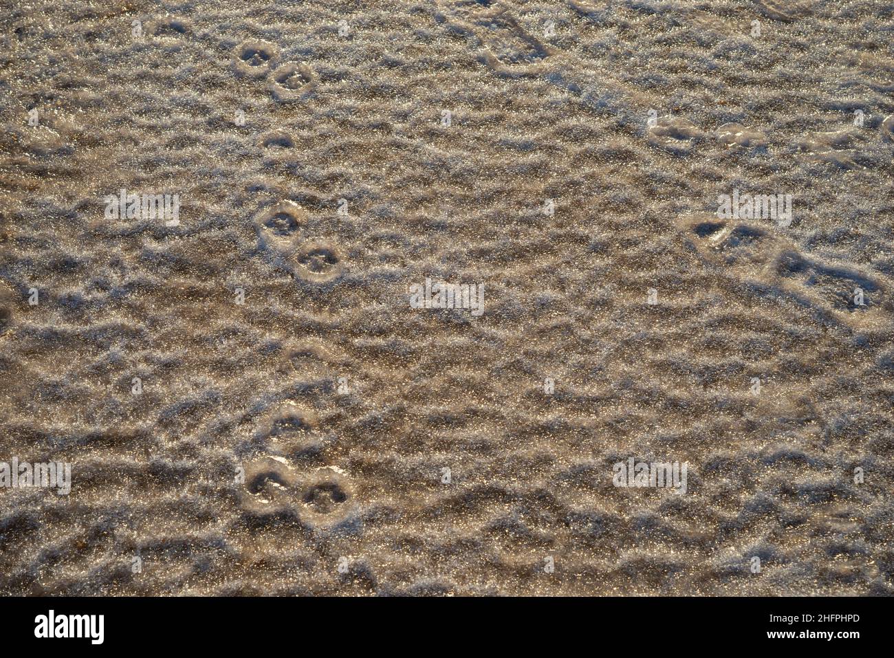Draufsicht auf den mit Wasser gewaschenen gefrorenen Dünensand an einem sonnigen Tag Stockfoto