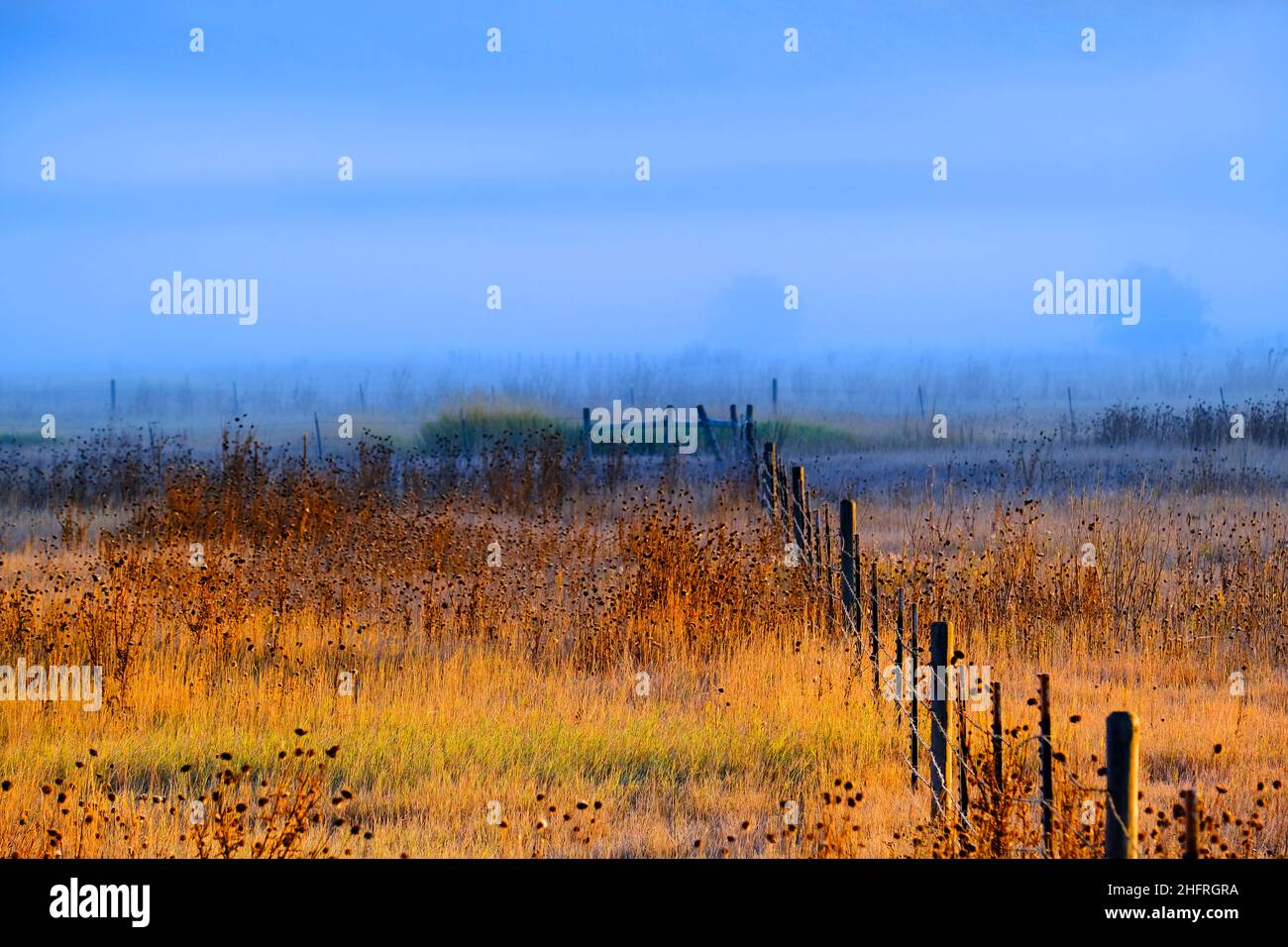 Landschaftlich schöner Blick auf die neblige Talwiese mit Bäumen und Morgensonne Stockfoto