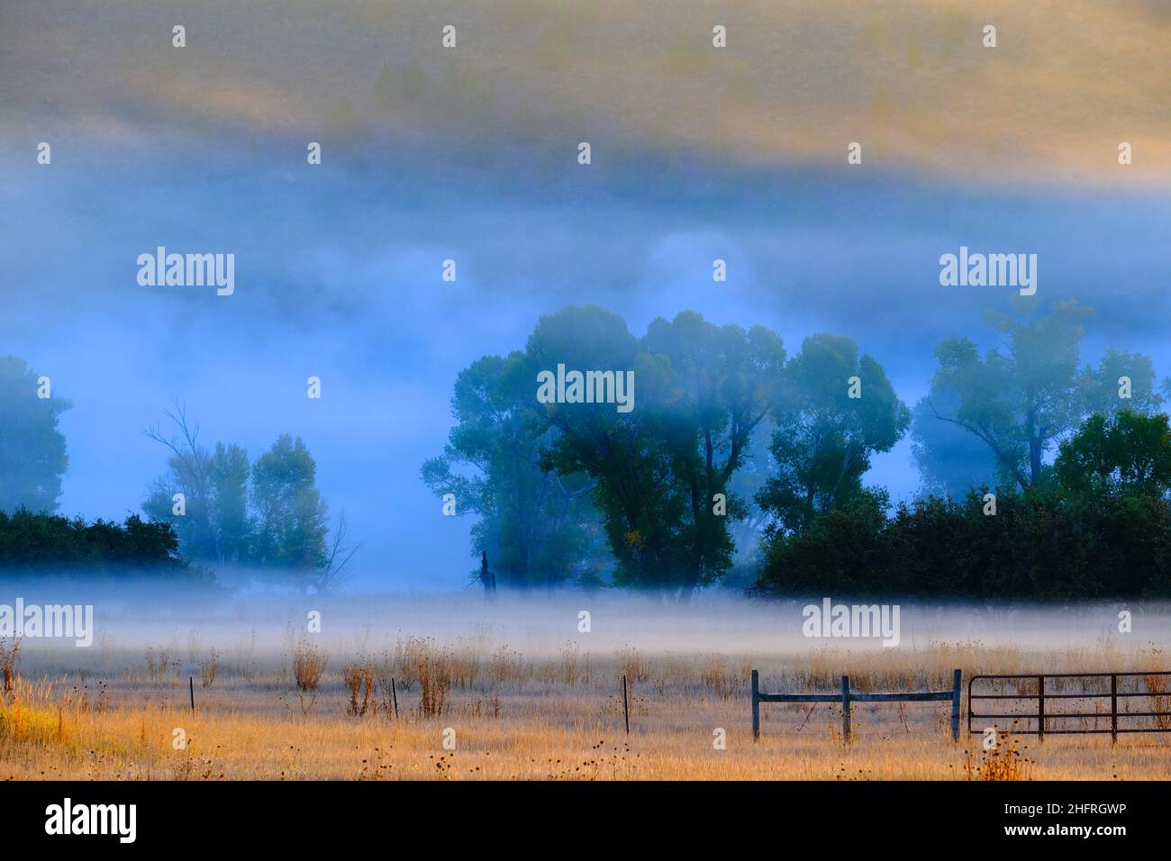 Landschaftlich schöner Blick auf die neblige Talwiese mit Bäumen und Morgensonne Stockfoto