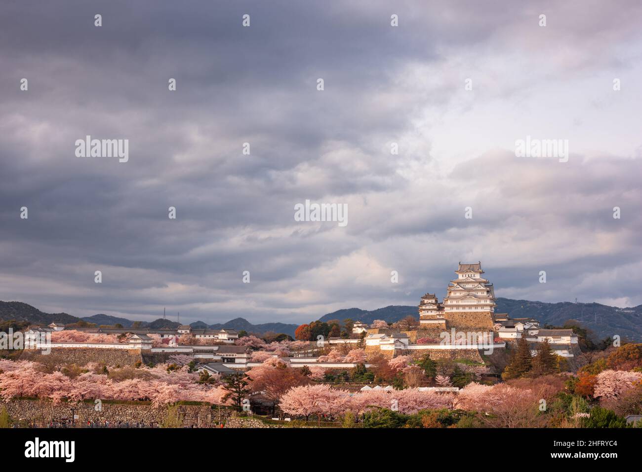 Himeji, Japan im Schloss Himeji während der Frühlingssaison mit Kirschblüten am Tag. Stockfoto