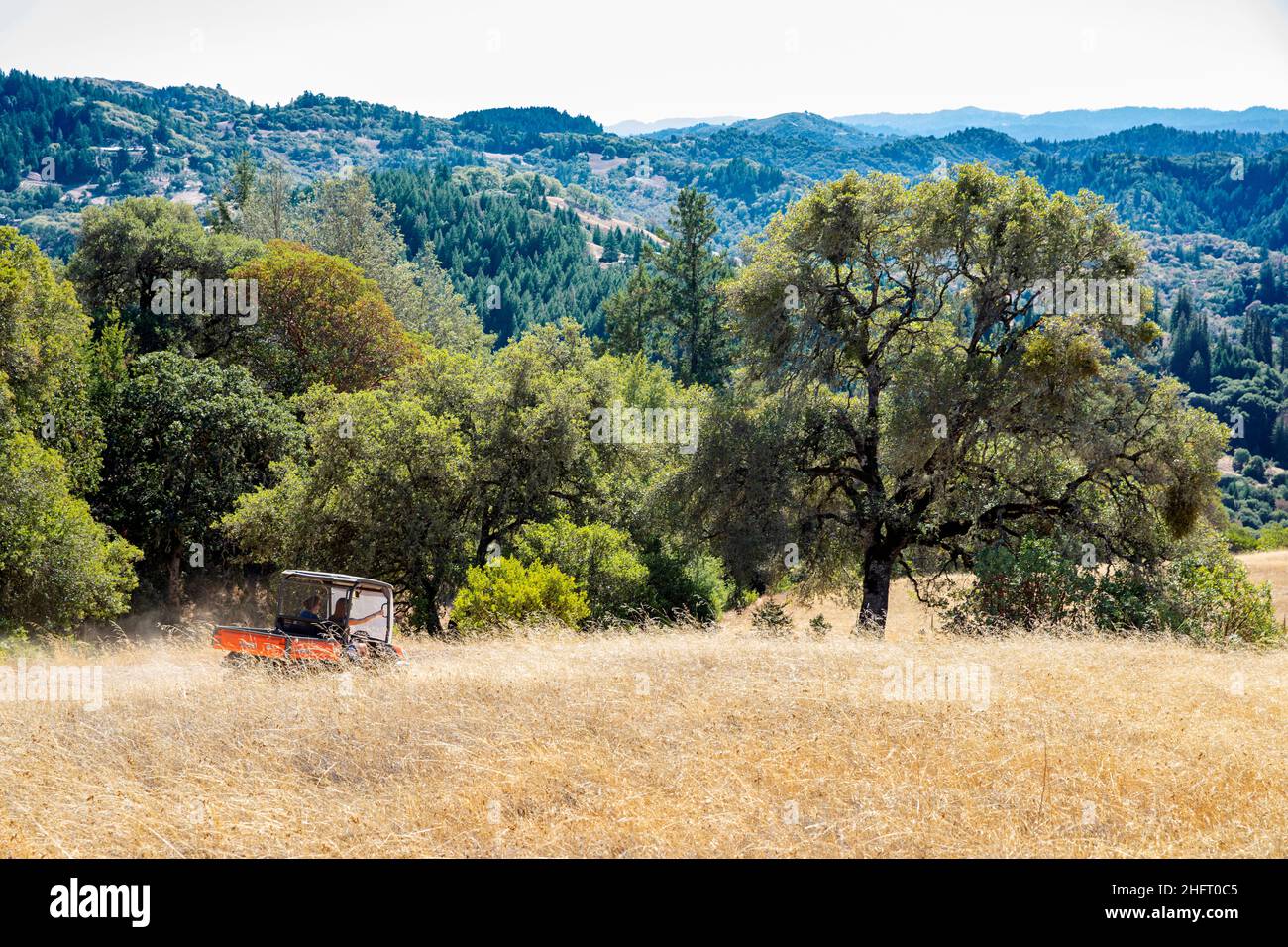 Besichtigung einer privaten Ranch im Mendocino County, Kalifornien, USA Stockfoto