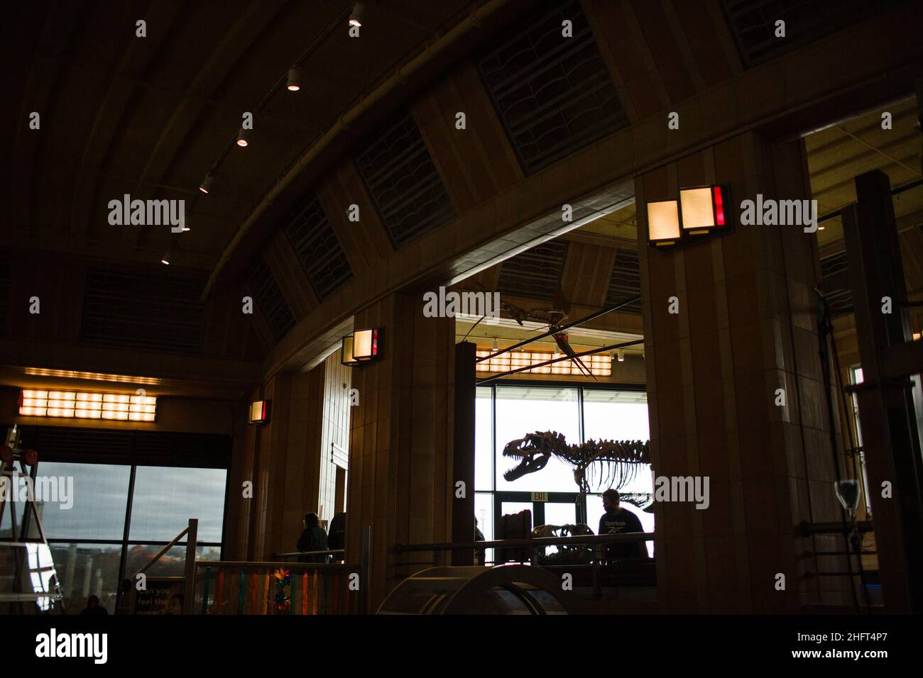 Silhouette im Natural History Museum in Cincinnati Stockfoto