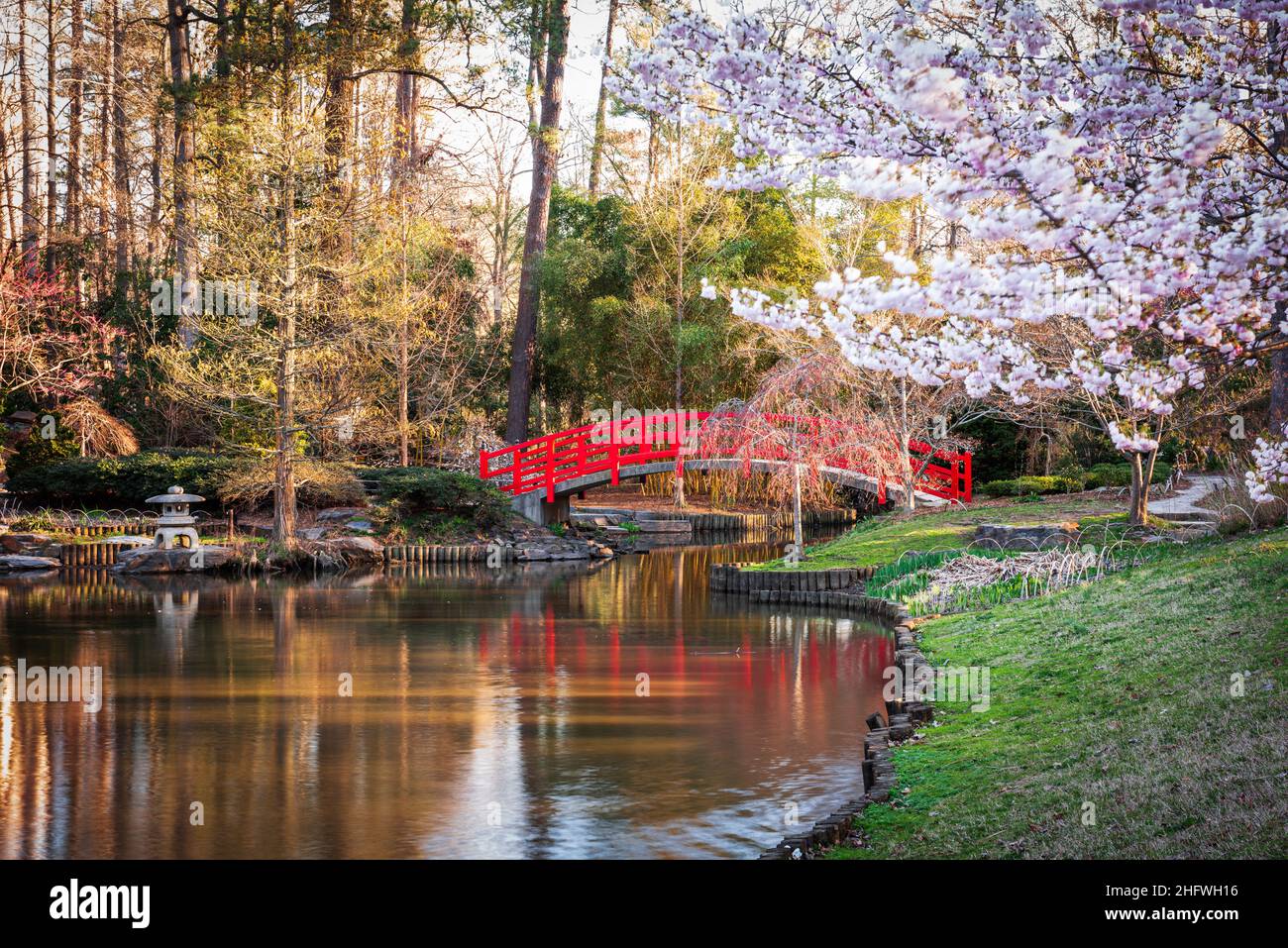 Japanische Gärten im Frühling. Stockfoto