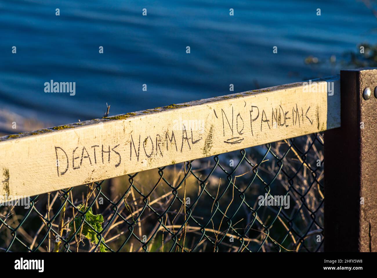 „Tote normal“ und „Keine Pandemie“-Graffiti an einem Zaun in Boscombe, Verschwörungstheoretikkonzept, Bournemouth, Dorset, England, VEREINIGTES KÖNIGREICH Stockfoto