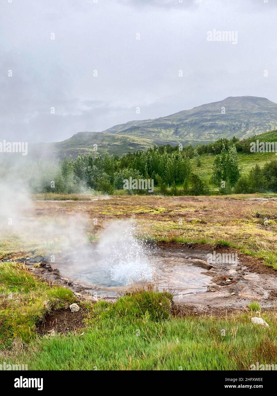 Ein dampfender heißer Frühling in der Natur Islands Stockfoto