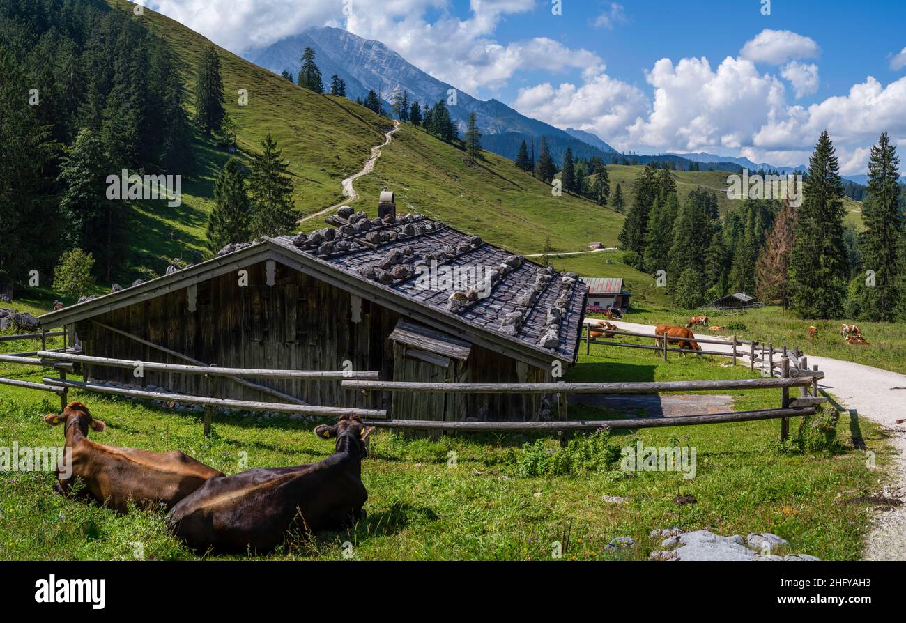 Alpen, Berchtesgadener Land im Sommer bei blauem Himmel und schöner Sicht Stockfoto