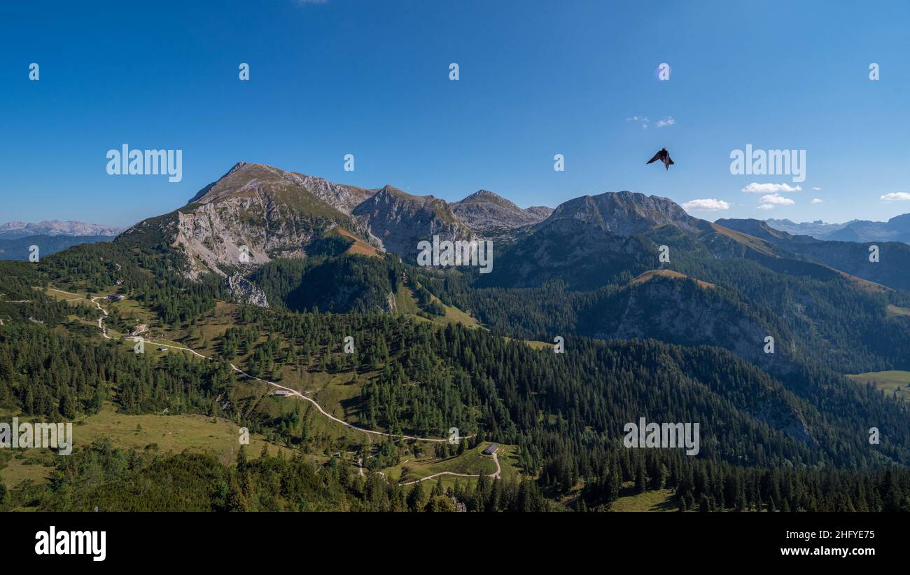 Alpen, Berchtesgadener Land im Sommer bei blauem Himmel und schöner Sicht Stockfoto