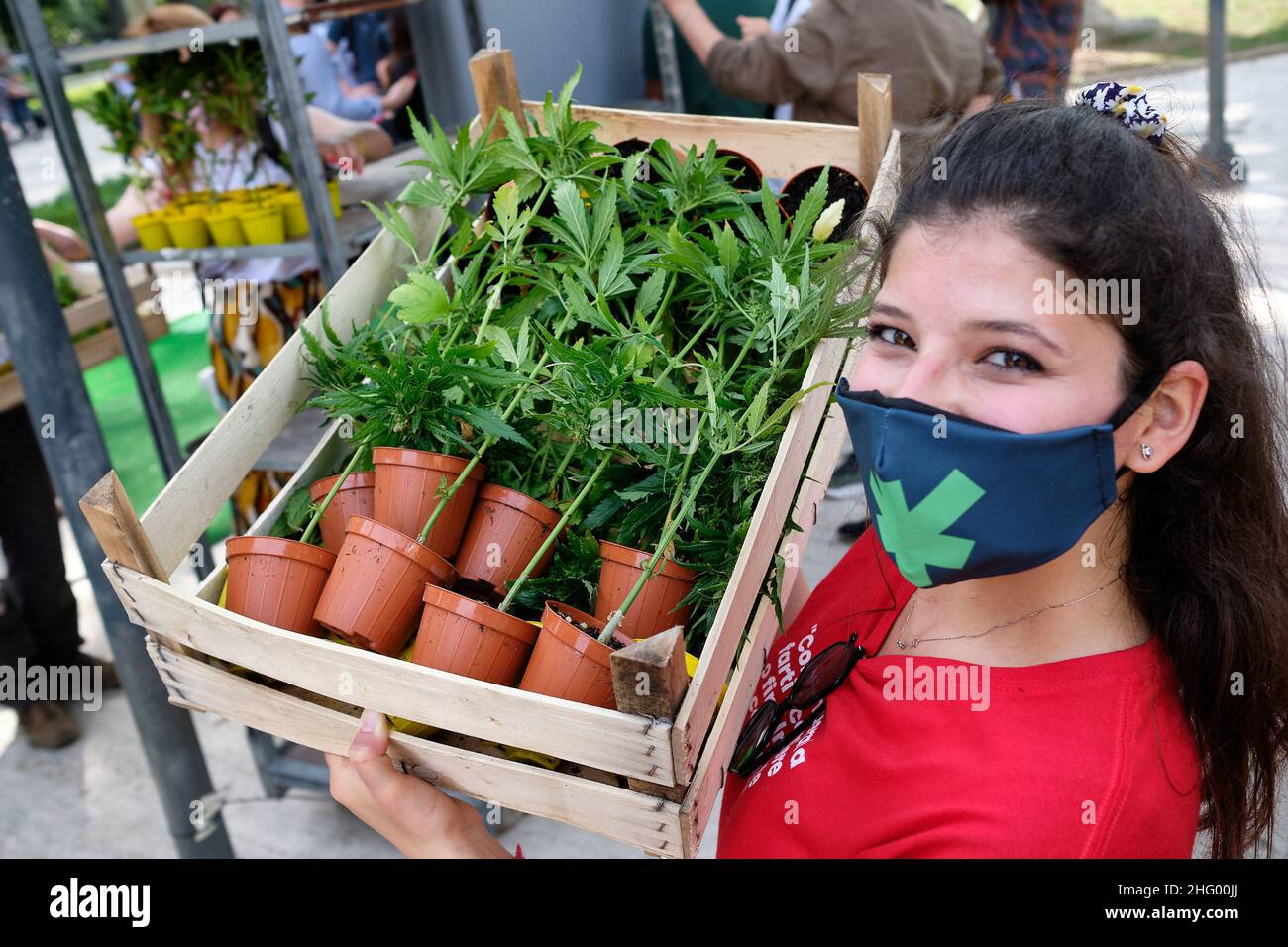 Mauro Scrobogna /LaPresse 11. Juni 2021&#xa0; Rom, Italien Nachrichten Antiprohibitionisten - besserer legaler Cannabis auf dem Foto: Momente der Initiative auf der Piazza Vittorio mit dem Verkauf legaler Cannabis-Setzlinge, um einen Appell an das Parlament für die Legalisierung von Cannabis zu starten Foto Mauro Scrobogna /LaPresse 11-06-2021 Roma , Italia Cronaca Antiproibizionisti - Cannabis meglio legale Nella foto: Momento dell&#X2019;iniziativa auf der Piazza Vittorio con la vendita di piantine di Cannabis legale per lanciare un appello al Parlamento sulla legalizzazione della Cannabis Foto Mauro Scrobogna /LaPresse Jun Stockfoto