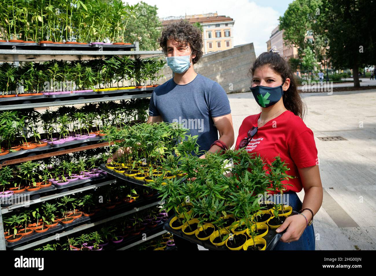 Mauro Scrobogna /LaPresse 11. Juni 2021&#xa0; Rom, Italien Nachrichten Antiprohibitionisten - besserer legaler Cannabis auf dem Foto: Mattia Santori von der Sardinenbewegung auf der Piazza Vittorio während des Verkaufs legaler Cannabis-Setzlinge, um einen Appell an das Parlament für die Legalisierung von Cannabis zu starten Foto Mauro Scrobogna /LaPresse 11-06-2021 Roma , Italia Cronaca Antiproibizionisti - Cannabis meglio legale Nella foto: Mattia Santori del movimento delle Sardine, auf der Piazza Vittorio durante la vendita di piantine di Cannabis legale per lanciare un appello al Parlamento sulla legalizzazione della Cannabis Ph Stockfoto