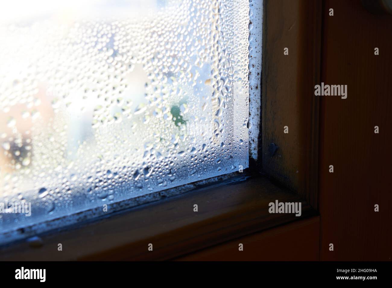 Schimmel und Feuchtigkeit am Fenster im Winter Stockfoto