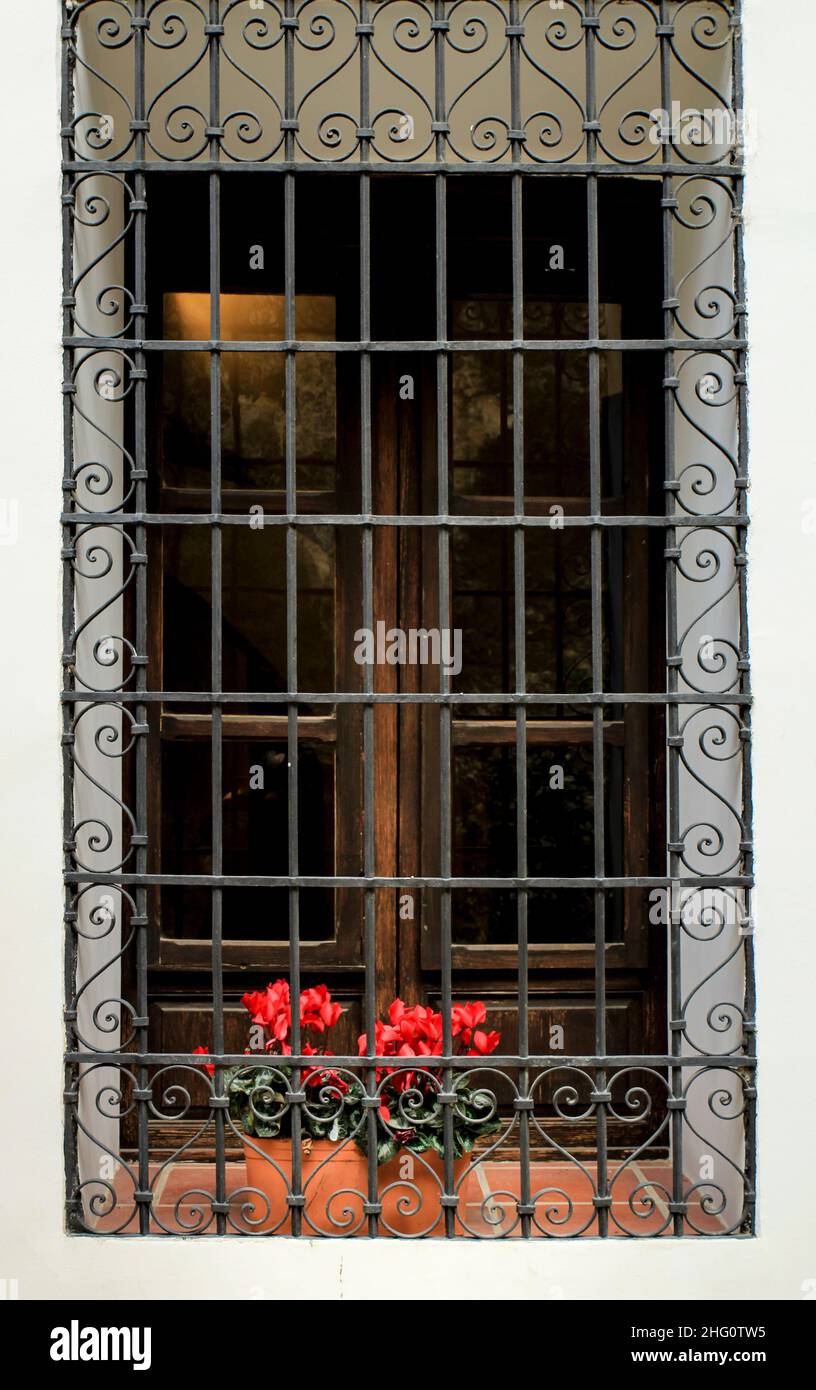 Fenster mit geschmiedetem Metallgitter und roten Cyclamen-Blüten an weißer Fassade. Stockfoto