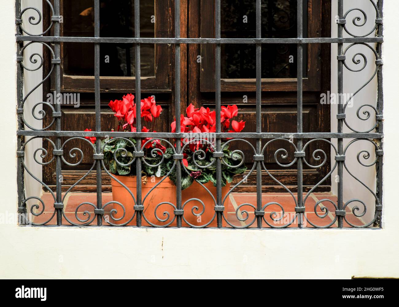 Fenster mit geschmiedetem Metallgitter und roten Cyclamen-Blüten an weißer Fassade. Stockfoto
