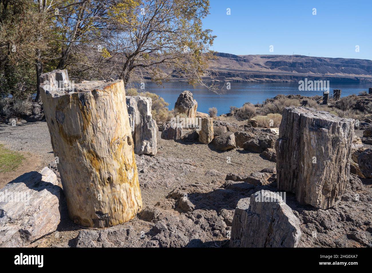 Ginkgo Petrified Forest State Park/Wanapum Erholungsgebiet ist ein geologisches Reservat und öffentliches Erholungsgebiet mit einer Fläche von 7.124 Acre (2.883 ha) auf dem w Stockfoto