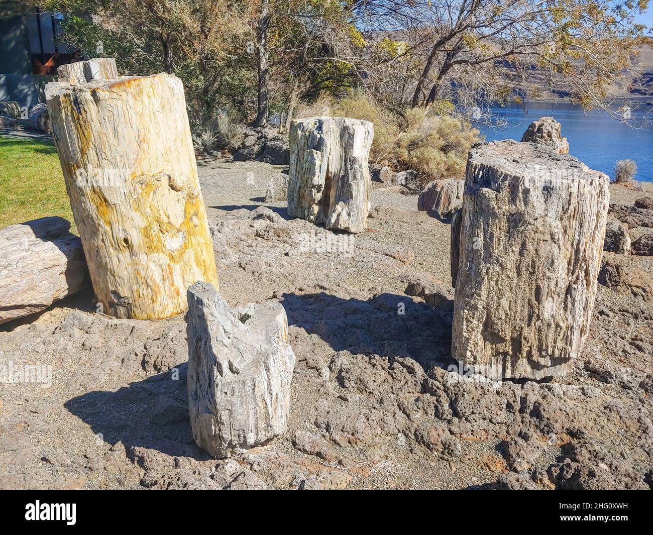 Ginkgo Petrified Forest State Park/Wanapum Erholungsgebiet ist ein geologisches Reservat und öffentliches Erholungsgebiet mit einer Fläche von 7.124 Acre (2.883 ha) auf dem w Stockfoto