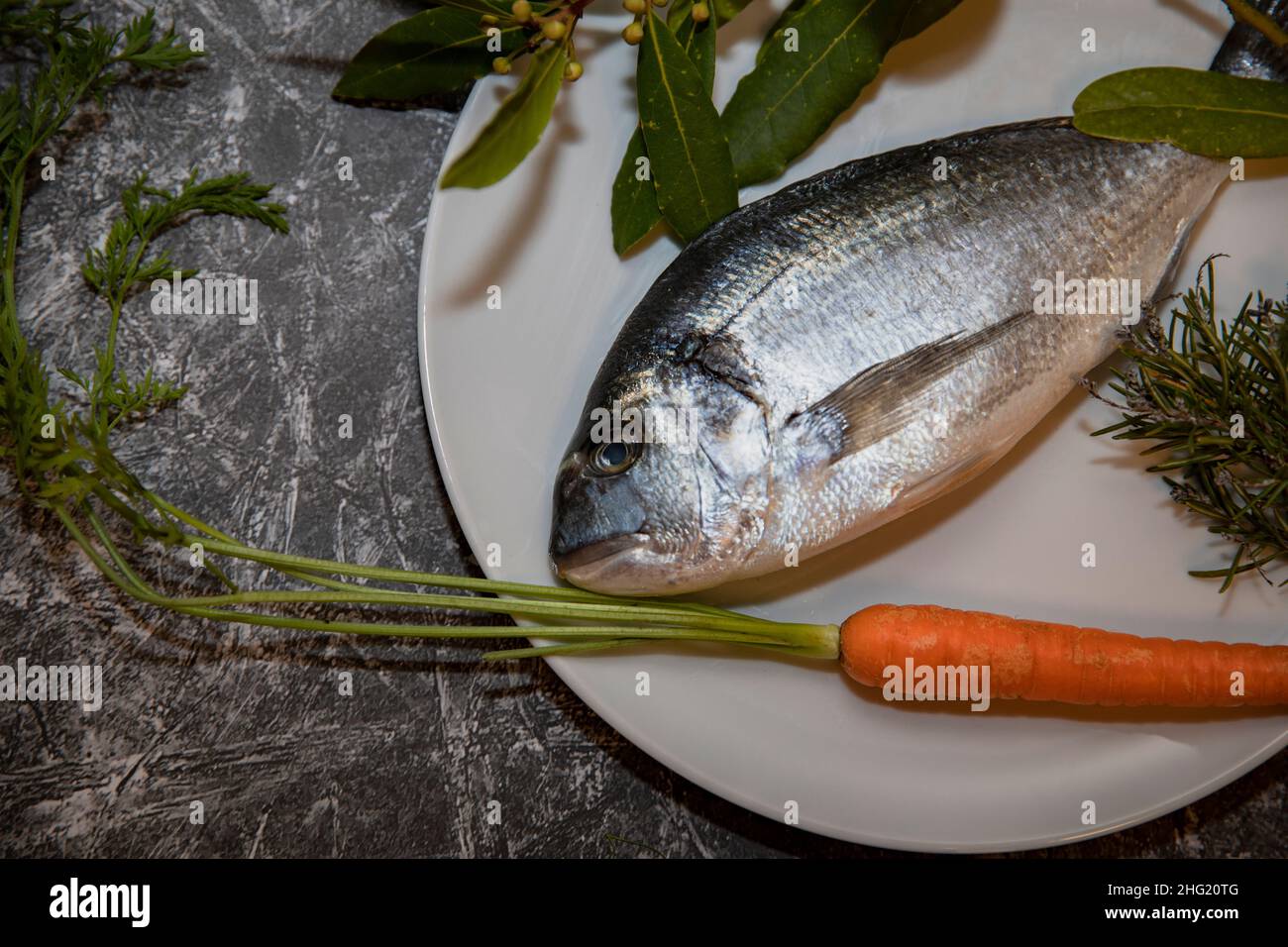 Ungekochte Seebrasse neben einer Karotte und Kräutern Stockfoto