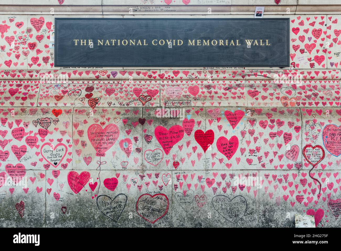 Die National Covid Memorial Wall mit pinken Herzen und den Namen der Opfer am Südufer der Themse neben dem St. Thomas Hospital in London Stockfoto