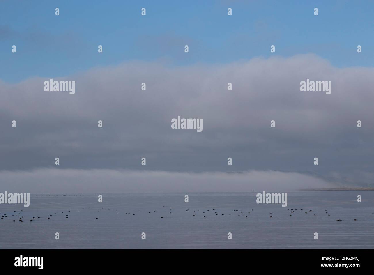 Über der ruhigen Oberfläche des kalifornischen O'Neil Forebay im San Luis Reservoir State Park, Merced County, kommt es zu einer Nebelbank. Stockfoto