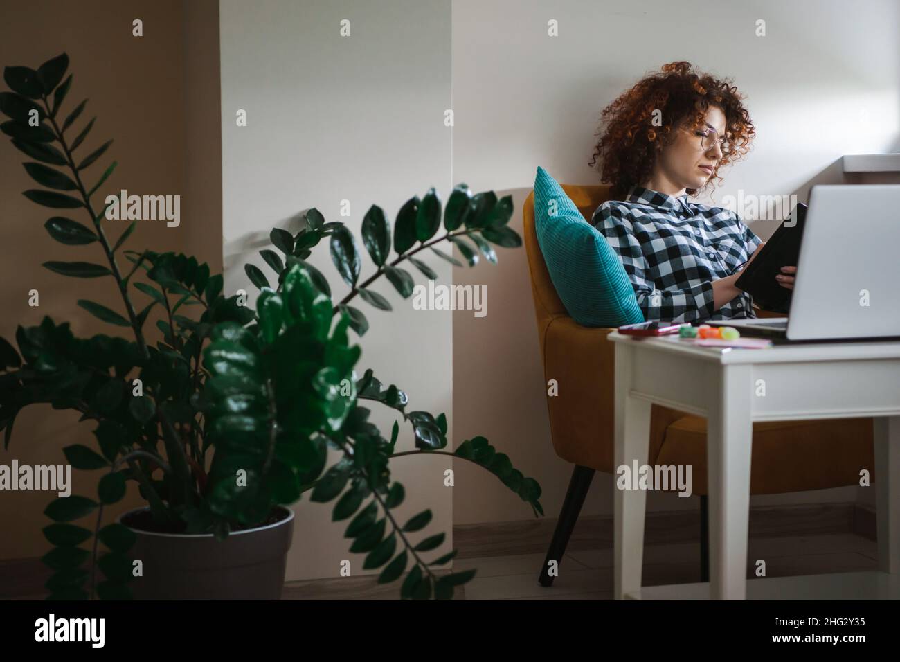 Geballte Frau mit lockigen Haaren, die ihren Laptop benutzt, während sie tagsüber im Sessel sitzt und im Journaljournal notiert. Stockfoto