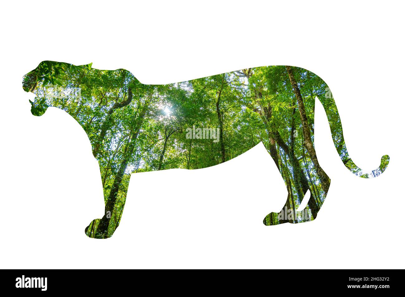 Tiger World Wildlife Day Waldsilhouette in Form eines Wildtier- und Waldschutzkonzepts Stockfoto