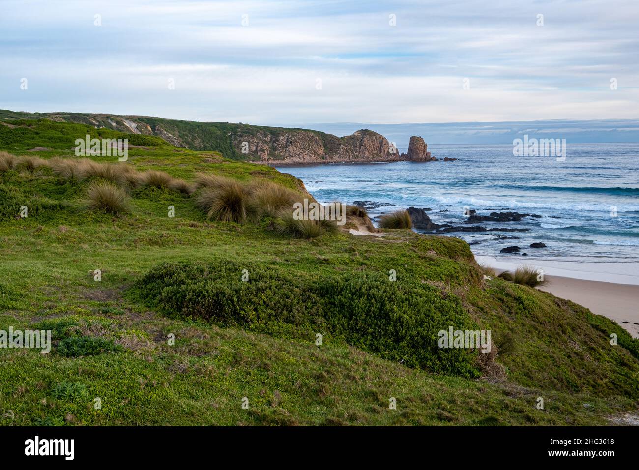 Grasbewachsene Küste mit felsigen Aufschlüssen am Ozeanstrand in Australien Stockfoto