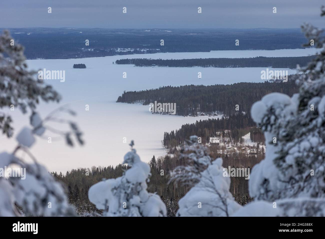 Landschaft vom Vuokatinvaara-Hügel im Winter in Vuokatti, Finnland. Stockfoto