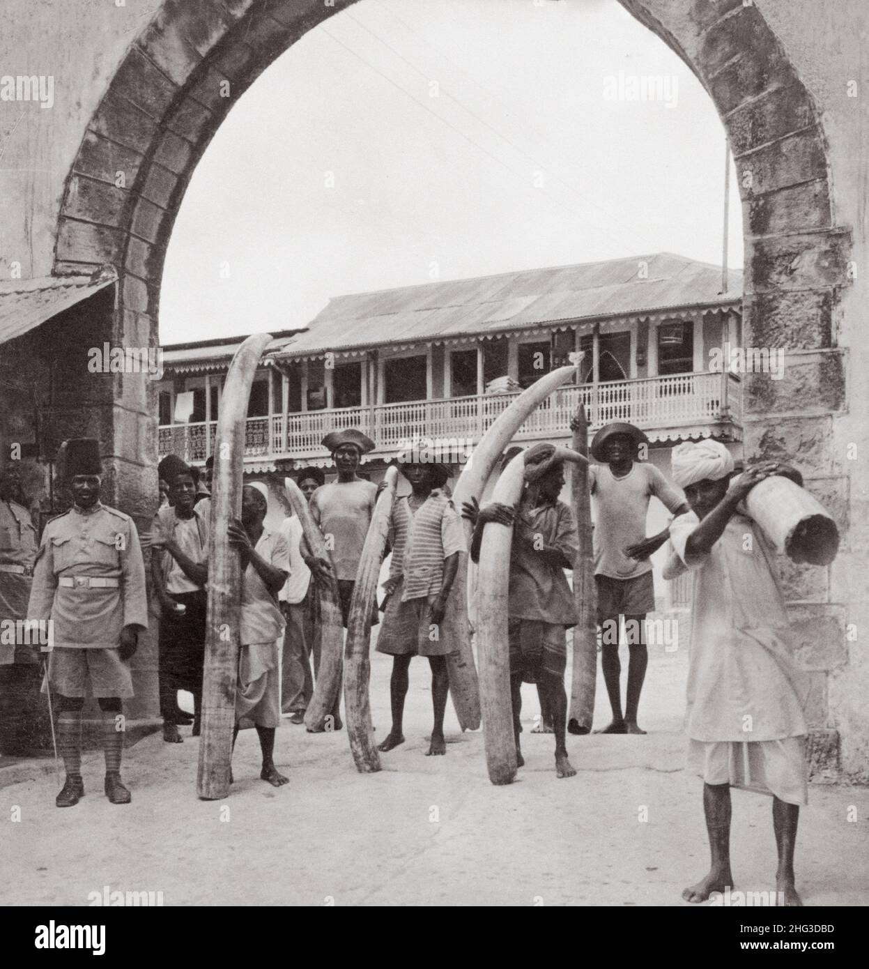 Vintage-Foto von Elfenbein auf dem Weg vom Dschungel nach Amerika, Old Harbour, Mombasa, British East Africa. 1930s Stockfoto