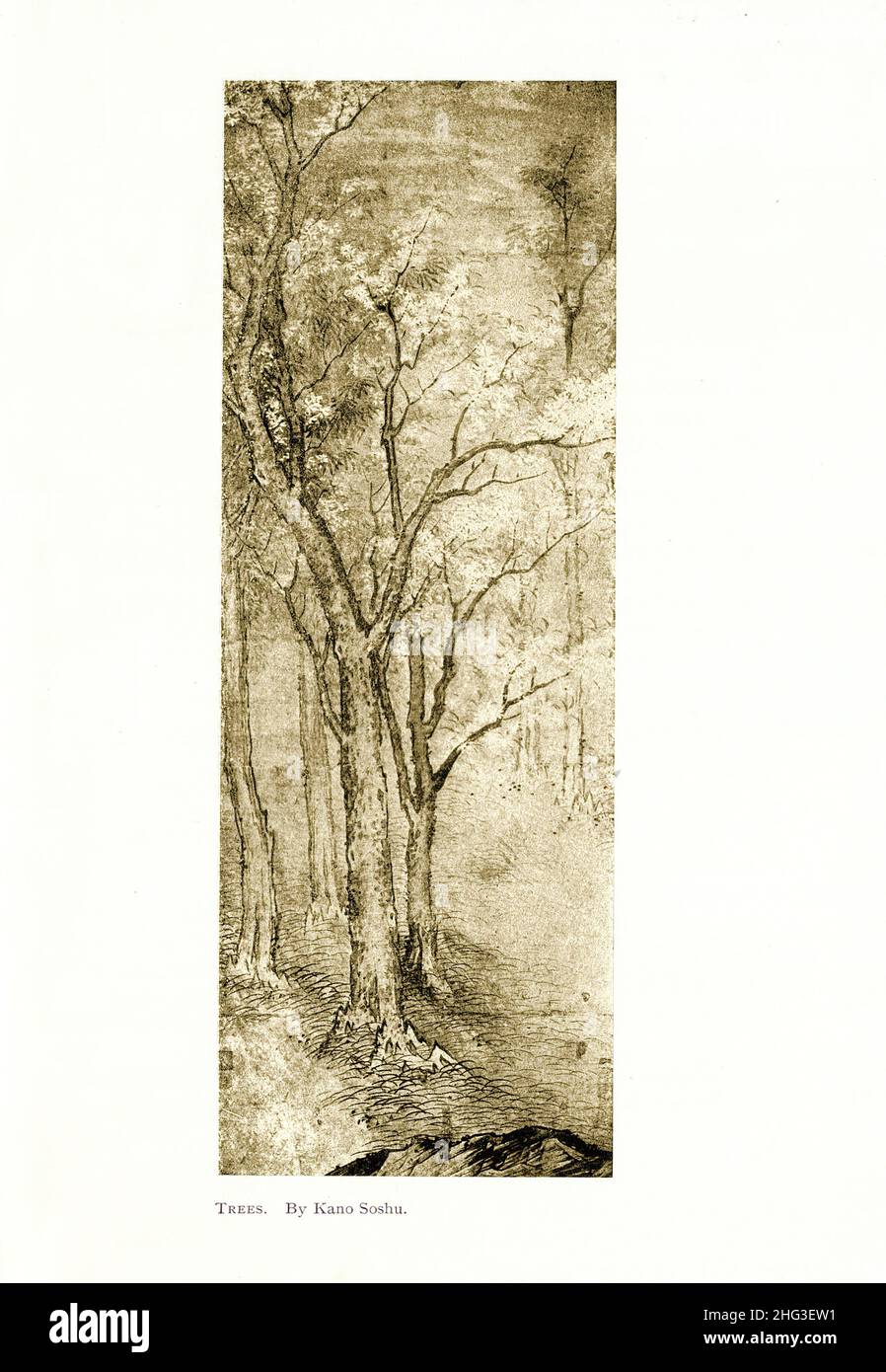 Japanische mittelalterliche Malerei: Bäume. Von Kano Soshu. Reproduktion der Buchdarstellung von 1912 Stockfoto