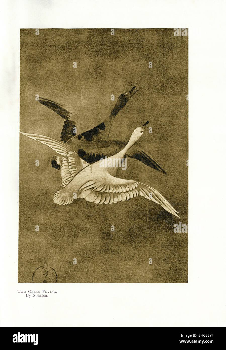 Japanisches Gemälde: Zwei Gänse fliegen. Von Tawaraya Sotatsu. Reproduktion der Buchillustration von 1912 Tawaraya Sōtatsu (c. 1570 – c. 1640) war ein Japanes Stockfoto