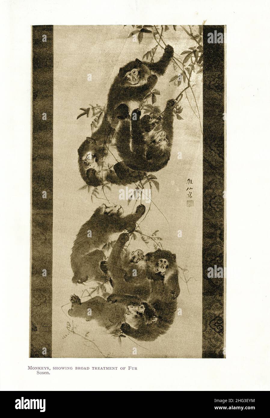 Japanische Malerei des 19th. Jahrhunderts: Affen, zeigt breite Behandlung von Pelz. Von Mori Sosen. Reproduktion der Buchillustration von 1912 Mori Sosen (1747 – 1 Stockfoto