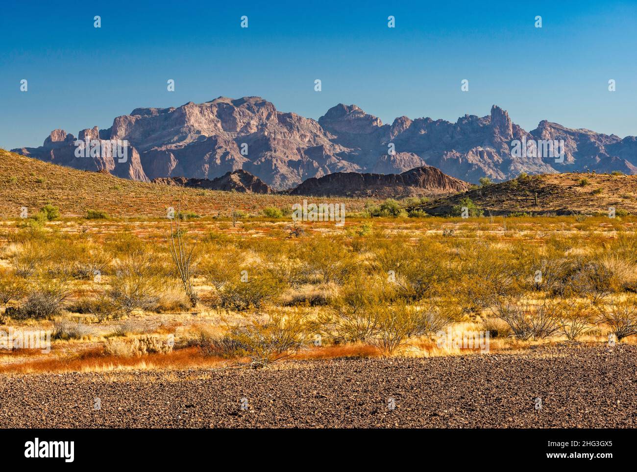 KOFA Mountains, Blick bei Sonnenaufgang von der King Road in King Valley, Sonoran Desert, Arizona, USA Stockfoto