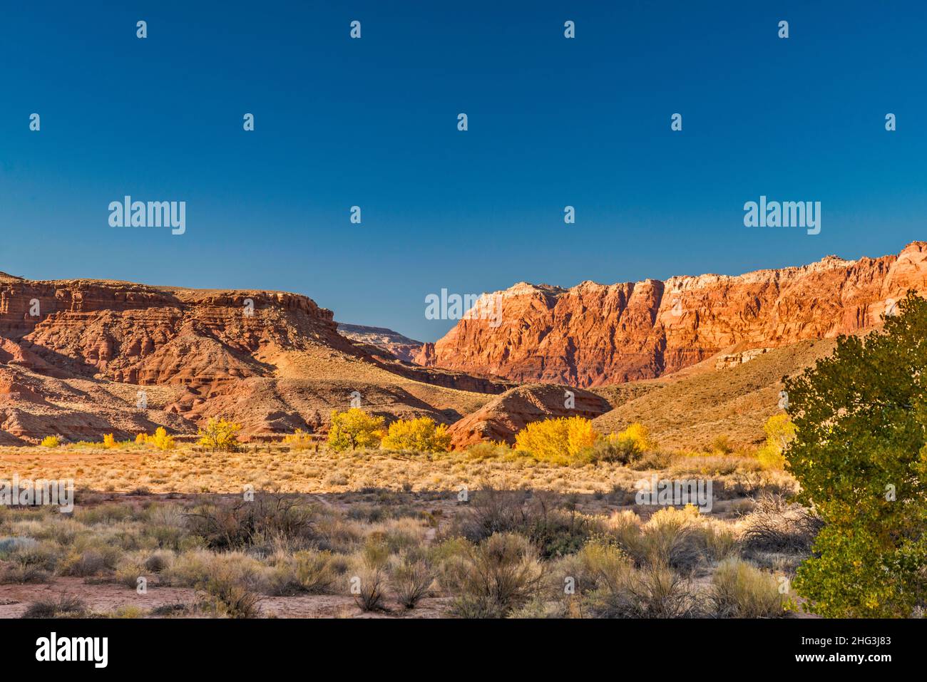 Paria Canyon, Blick in der Nähe der Wilson Ranch Gegend, Paria Canyon Wilderness, Arizona, USA Stockfoto