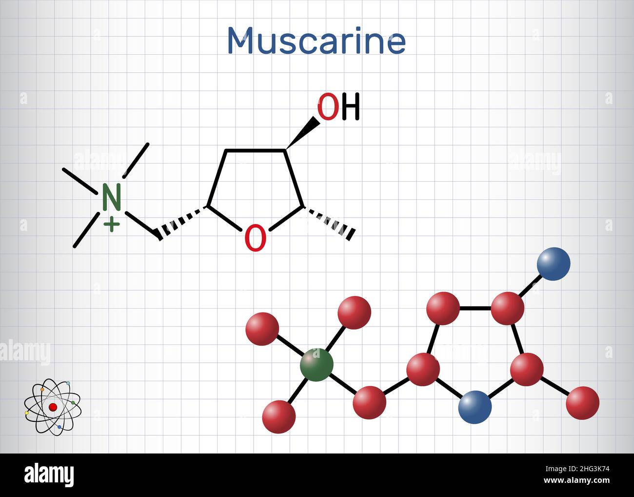 Muskarin oder Muskarin-Molekül. Es ist giftiges Alkaloid, das in Amanita Muscaria, Fliegenpilz, gefunden wird. Strukturelle chemische Formel, Molekülmodell. pape Stock Vektor