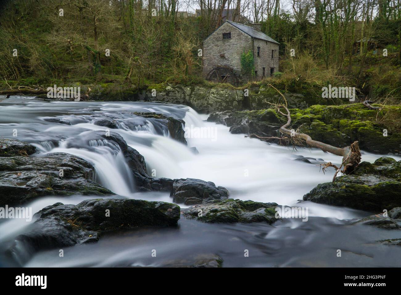 Cenarth fällt auf den Fluss Tiefi mit der alten Wassermühle am westlichen Ufer, Ceredigion Wales. Dezember 2021. Stockfoto