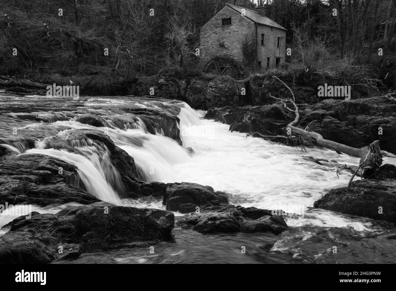 Cenarth fällt auf den Fluss Tiefi mit der alten Wassermühle am westlichen Ufer, Ceredigion Wales. Dezember 2021. Stockfoto