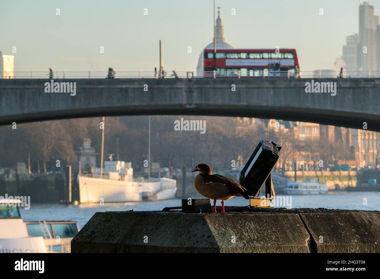 Westminster, London, Großbritannien. 18th. Januar 2022. UK Wetter: Ein kalter und frostiger Morgen im Zentrum von London. Kredit: Matthew Chattle/Alamy Live Nachrichten Stockfoto