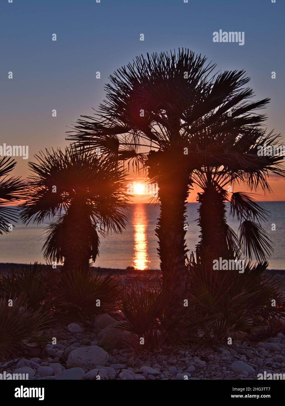 Goldene Sonne über dem Meer. Trübe Wasser Reflexionen . Silhouetten von Palmen und dunkle Schatten. Tiefblauer Morgenhimmel. Ruhiges Meer. Ein Sonnenstrahl Stockfoto