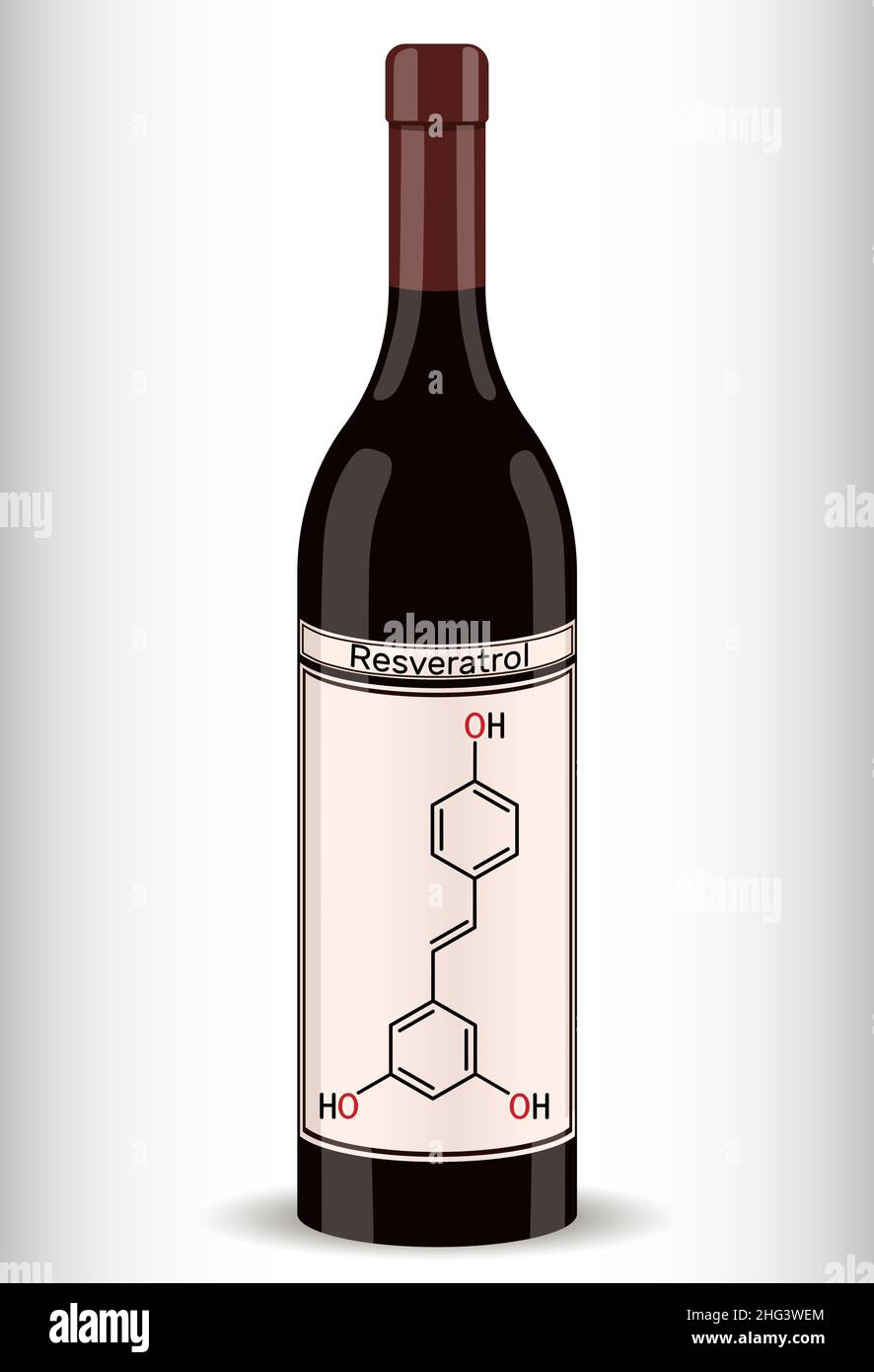 Resveratrol Molekül und Flasche Wein. Resveratrol ist natürliches Phenol, Phytoalexin, Antioxidans. Chemische Formel des Skeletts. Vektorgrafik Stock Vektor