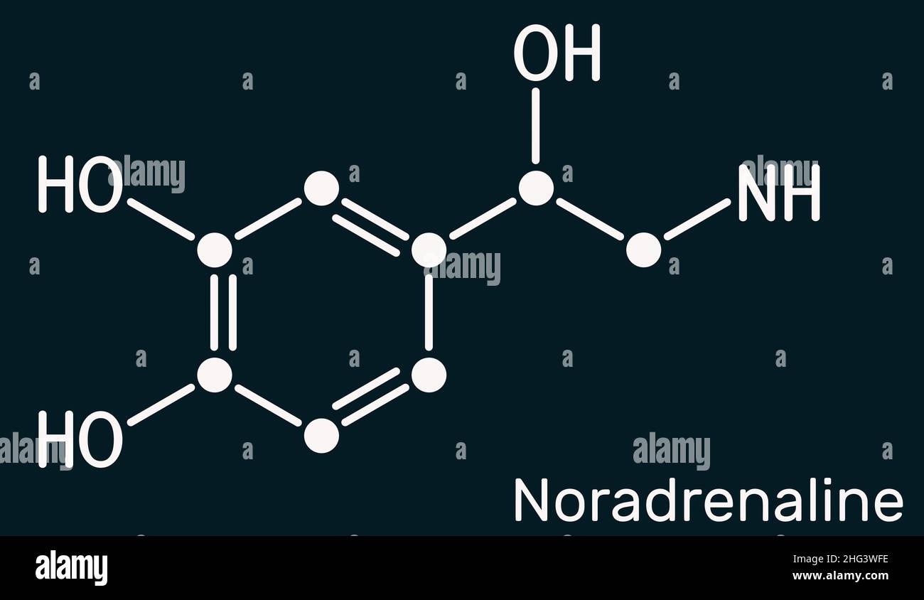 Noradrenalin, NA, Noradrenalin, NE-Molekül. Es ist Hormon, Monoamin Neurotransmitter, Neuromodulator, Medikamente. Chemische Formel des Skeletts. Dar Stockfoto