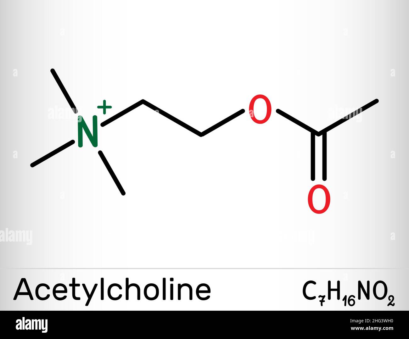 Acetylcholin, Ach-Molekül. Es ist parasympathomimetischer Neurotransmitter, Vasodilatator-Agent, Hormon, menschlicher Metabolit. Chemische Formel des Skeletts. Vect Stock Vektor