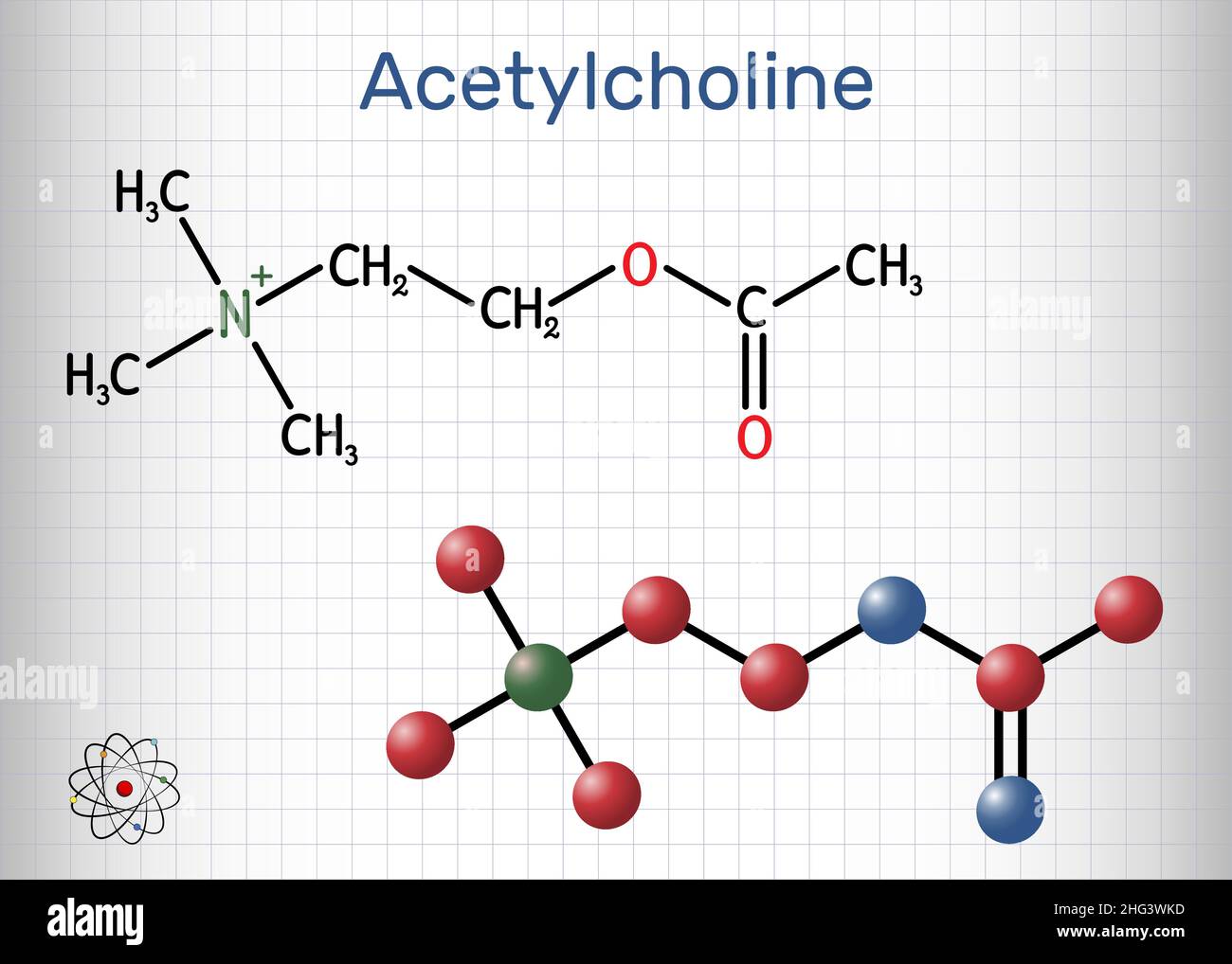 Acetylcholin, Ach-Molekül. Es ist parasympathomimetischer Neurotransmitter, Vasodilatator-Agent, Hormon, menschlicher Metabolit. Strukturelle chemische Formel und Stock Vektor