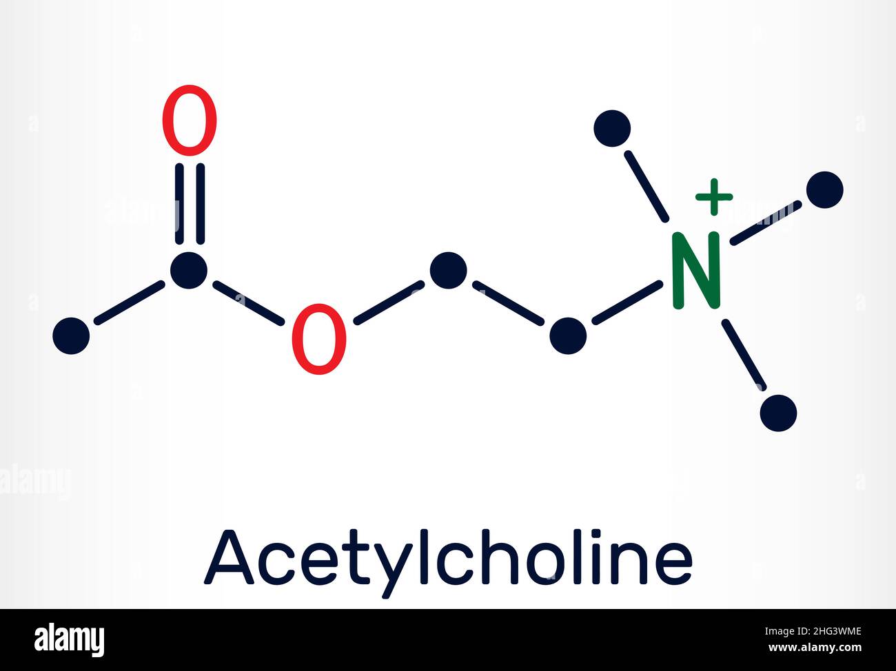 Acetylcholin, Ach-Molekül. Es ist parasympathomimetischer Neurotransmitter, Vasodilatator-Agent, Hormon, menschlicher Metabolit. Chemische Formel des Skeletts. Vect Stock Vektor