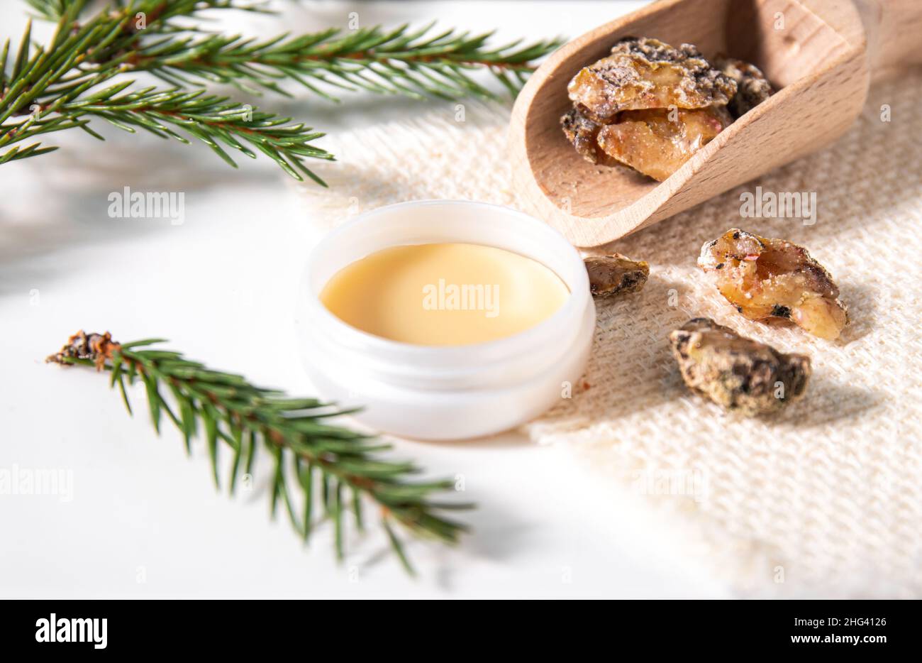 Fichtenbaum Picea abies Kräuterharz Lotion in Glas und Stücke auf Holzlöffel, mit frischen Fichtenzweige verziert. Mit Fichtenharz. Stockfoto