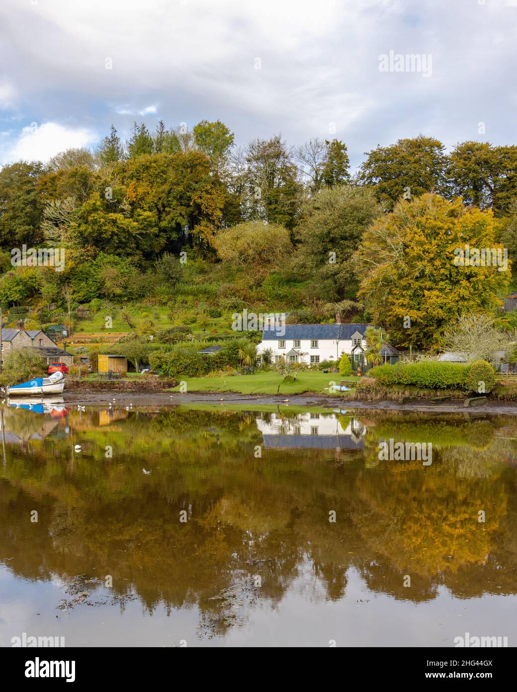 Herbstspiegelungen im Fluss Lerryn Cornwall Stockfoto