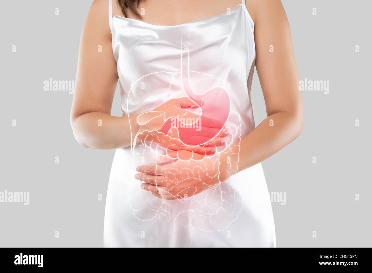 Die Darstellung der inneren Organe ist auf dem weiblichen Körper vor dem grauen Hintergrund zu sehen. Menschen, die Magen berühren, leiden unter Enteritis Stockfoto